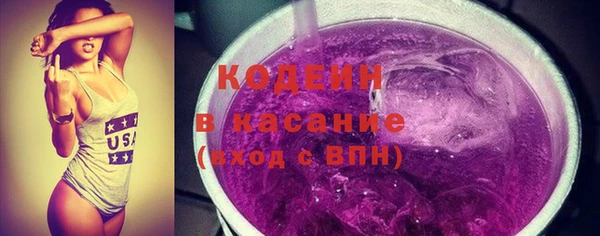 молекула духа Медвежьегорск