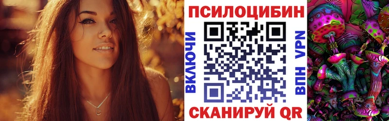 Галлюциногенные грибы мицелий  Курильск 